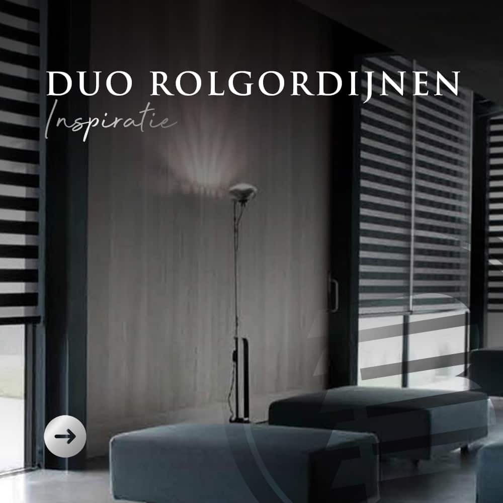 Duo Rolgordijnen Inspiratie Artwork