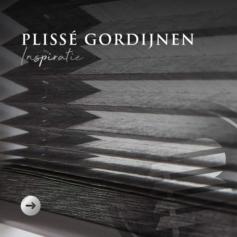 Plissé gordijnen Inspiratie Artwork